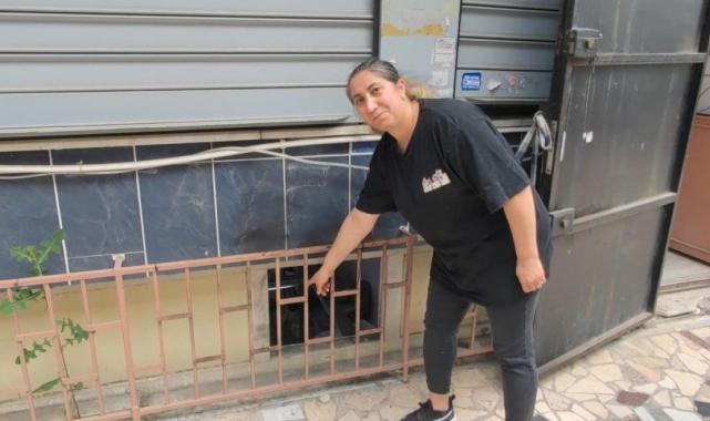 İstanbul'da tekstil atölyesine pimi çekilmemiş el bombası atan şahıslar yakalandı
