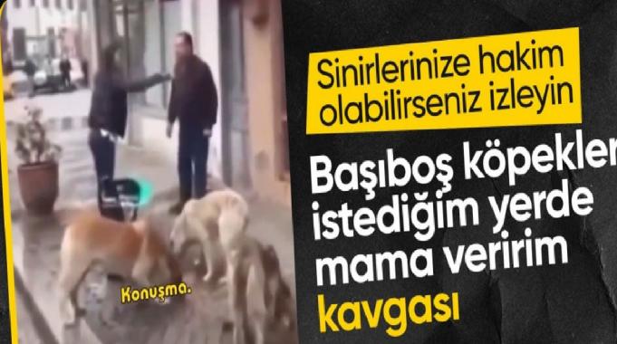 Kastamonu'da esnaf ile hayvan severin köpek maması kavgası