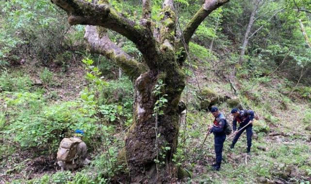 Kayıp ekonomist Korhan Berzeg olayında görgü tanığı ifadeleri yalan çıktı