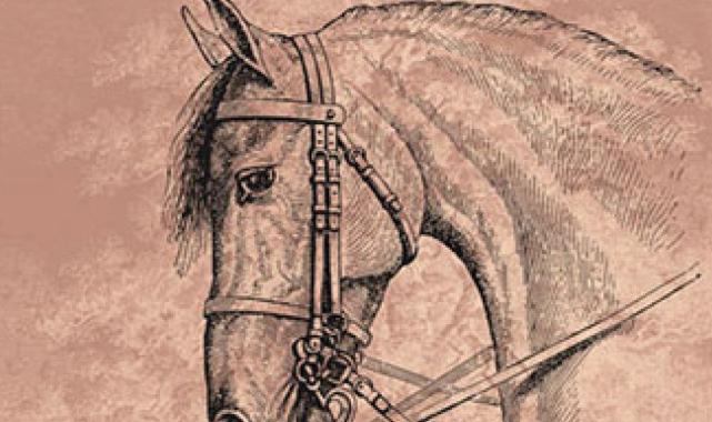 Kederli bir coğrafyanın düşündüren dokunaklı romanı: Heder Ağacı