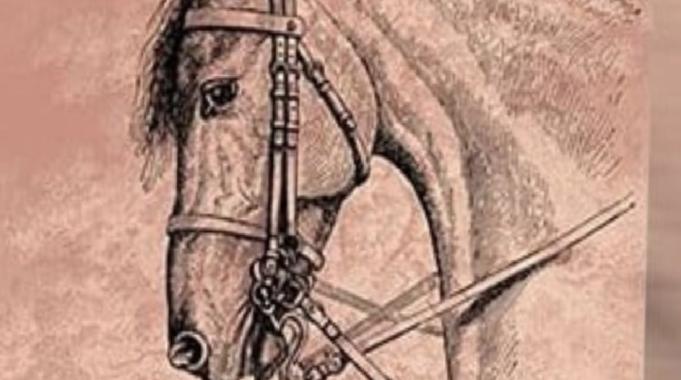 Kederli bir coğrafyanın düşündüren dokunaklı romanı: Heder Ağacı