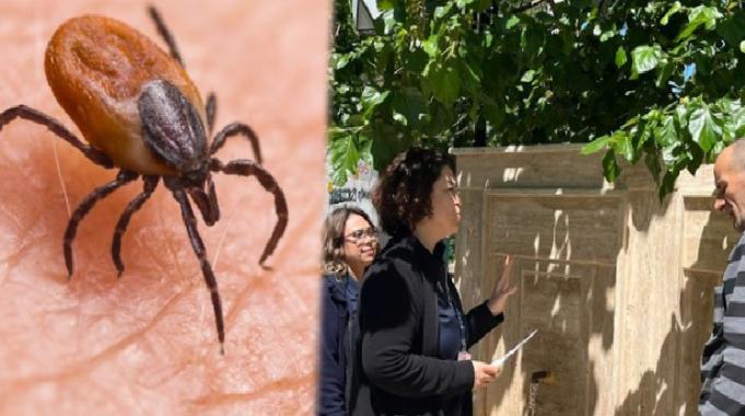 Kene ısırıklarına dikkat! Öldürebilir