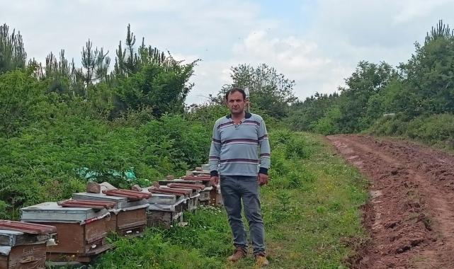 Kocaeli'de kovanları parçalanan arıcı şikayetçi oldu