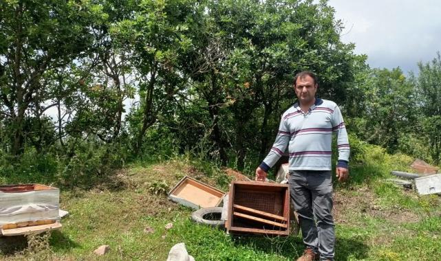 Kocaeli'de kovanları parçalanan arıcı şikayetçi oldu