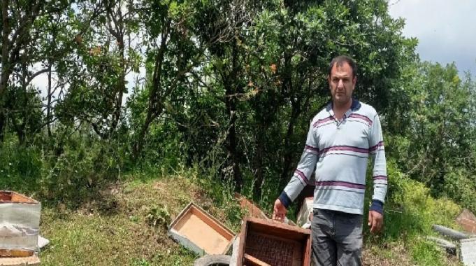 Kocaeli&#039;de kovanları parçalanan arıcı şikayetçi oldu