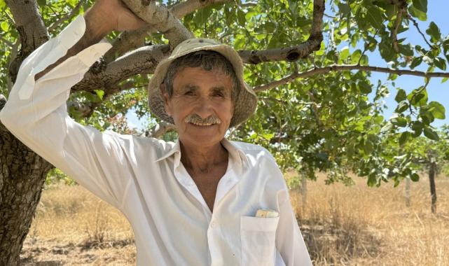 Mardinli fıstık üreticisi: Bizim fıstığımız Antep fıstığından daha iyi