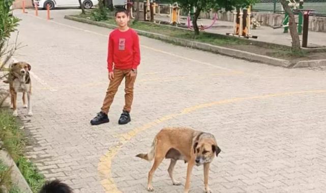 Ortaokul öğrencisi Talha, "köpek kaçıran ayakkabı" projesiyle ödül aldı