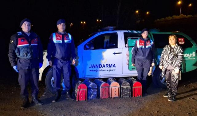 Samsun’da hayvanları koruma derneği kurup horoz dövüştürdüler: 29 gözaltı