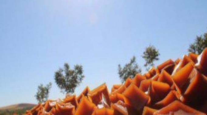 Şanlıurfa&#039;nın &#039;Hasenik pestili&#039; artık tescilli bir lezzet