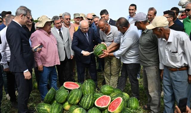 Sıcaklar hasadı erkene çekti: Adana'da sezonun ilk karpuz hasadı yapıldı
