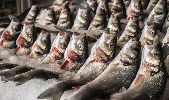 Su ürünleri ihracatı arttı... Levrek 517 milyon dolar, Çipura 418 milyon dolar kazandırdı