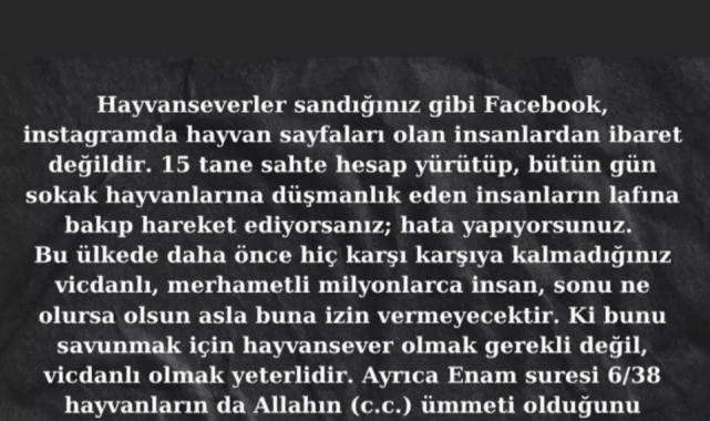 Süperstar Ajda Pekkan'dan sokak hayvanları için çağrı: Hata yapıyorsunuz