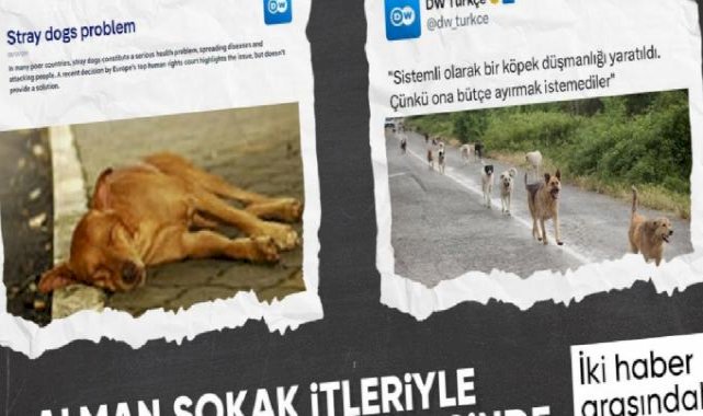 Alman Deutsche Welle'in sokak köpeği çelişkisi: Önce zararlı dediler, sonra savundular