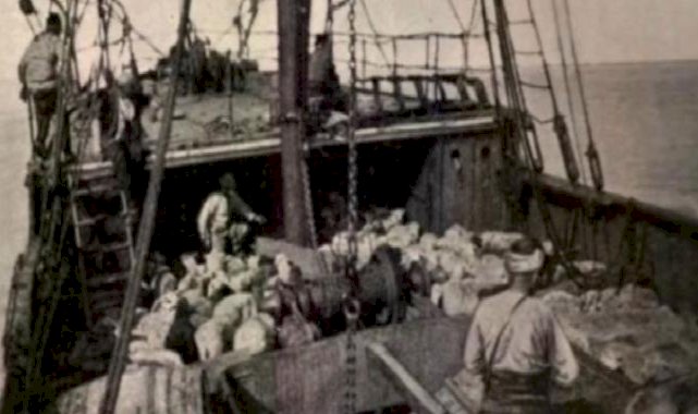 Bandırma Vapuru'nun bilinen tek fotoğrafı