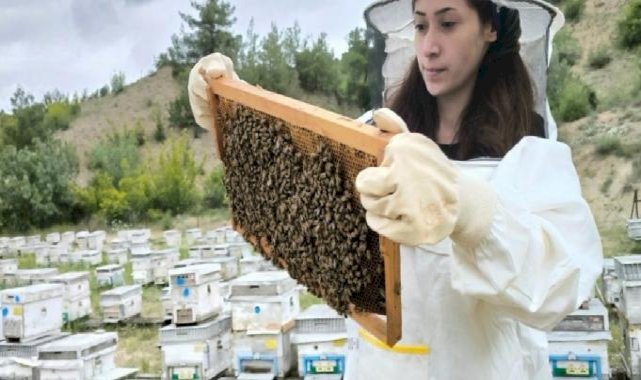 Eskişehir'de turizm sektörünü bıraktı, arıcılıkta uzman oldu