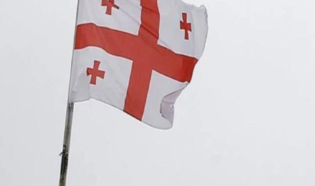 Gürcistan'da başbakan ile cumhurbaşkanı arasında veto krizi