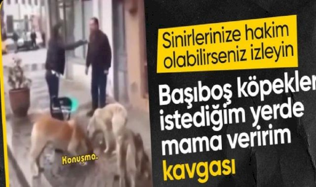Kastamonu'da esnaf ile hayvan severin köpek maması kavgası