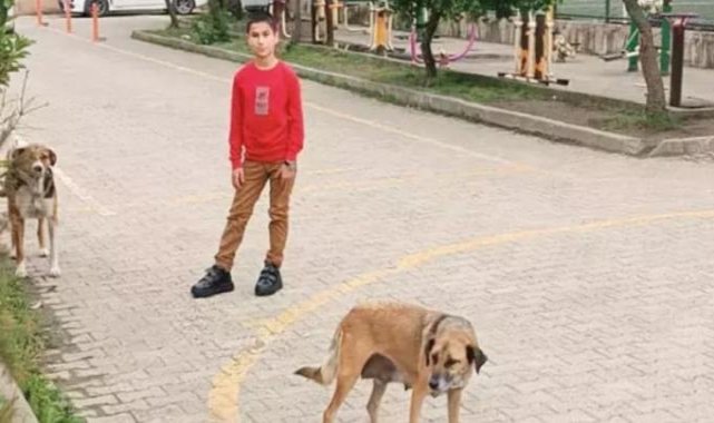 Ortaokul öğrencisi Talha, "köpek kaçıran ayakkabı" projesiyle ödül aldı