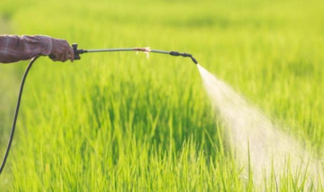 Türkiye Pestisit Kaynaklı Bildirimlerde İlk Sırada