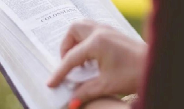 Ulusal Staj Programı: Fırsat Eşitliği ve Liyakat Odaklı Bir Sistem