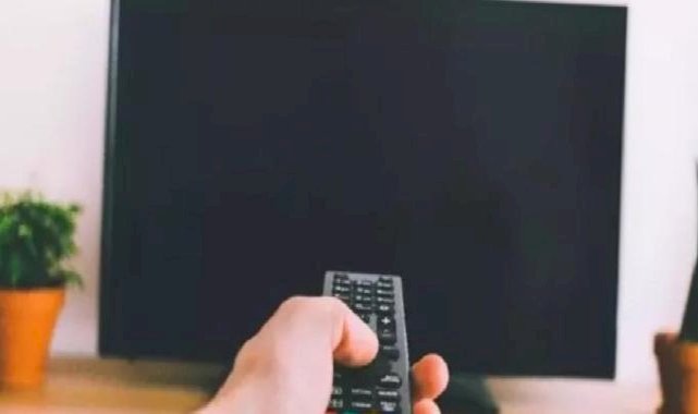 Ünlü akademisyen belgeleri açıkladı! "Sakın TV önünde soyunmayın"