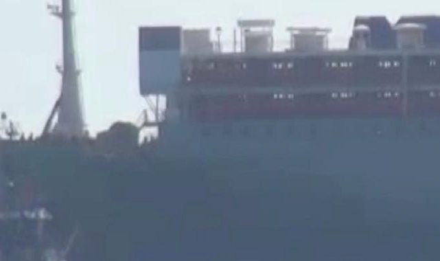 Uruguay'dan ithal edilen angus sığırlar Mersin'e ulaştı