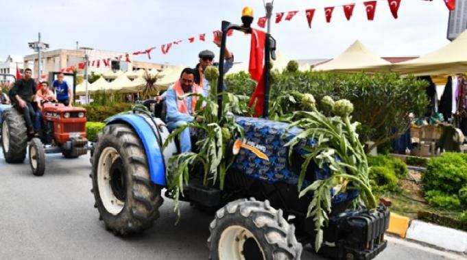 Urla Enginar Festivali için geri sayım başladı