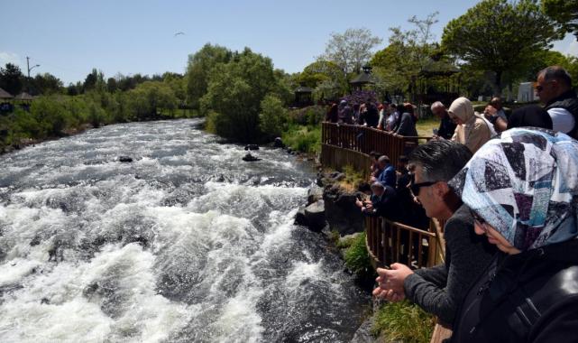 Van Gölü'nde inci kefalinin zorlu göçü başladı