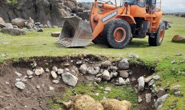 Van’ın Erciş ilçesinde ahırda havasız kalan koyunlar telef oldu