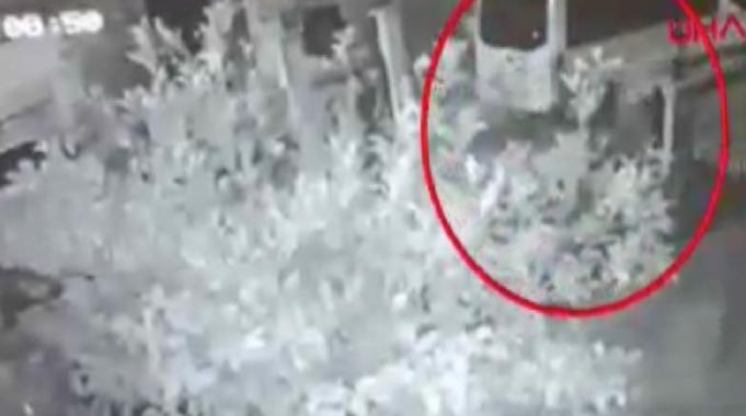 Antalya&#039;da ablasının platoniğini bıçaklayarak öldürdü