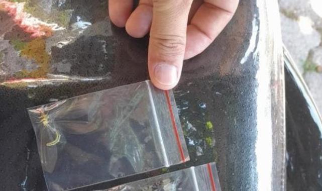 Antalya'da izinsiz böcek topluyordu: Rus akademisyene 378 bin 141 lira para cezası