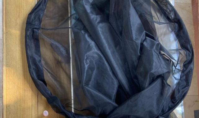 Antalya'da izinsiz böcek topluyordu: Rus akademisyene 378 bin 141 lira para cezası