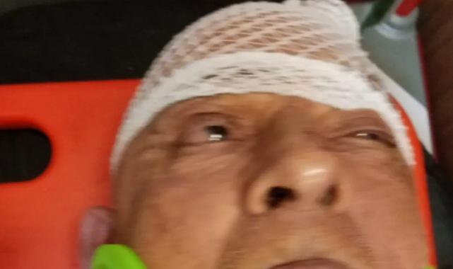 Aydın’da köpekler yaşlı adama saldırdı