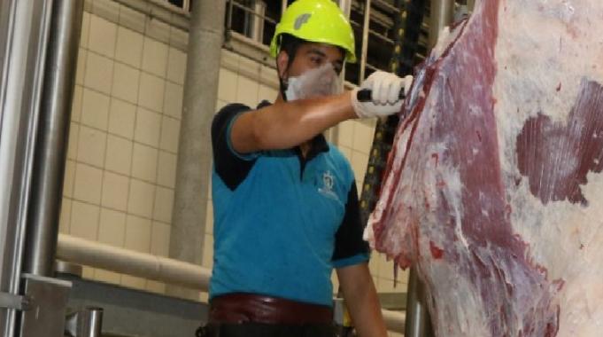 Çevreye atılan et ve kemikler halk sağlığını tehdit ediyor