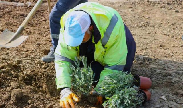 Enerji ve Tabii Kaynaklar Bakanlığı'ndan 5 yılda çevreye 1 milyar liralık yatırım