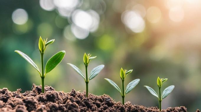 Enerji ve Tabii Kaynaklar Bakanlığı&#039;ndan 5 yılda çevreye 1 milyar liralık yatırım