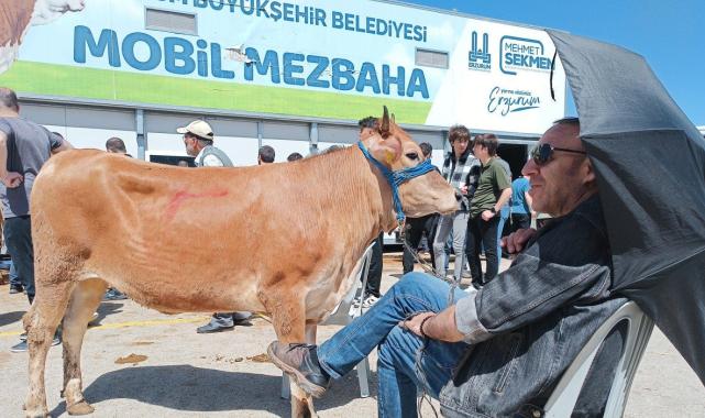Erzurum'da kaçan dananın sahibi boynuz darbelerinden son anda kurtuldu