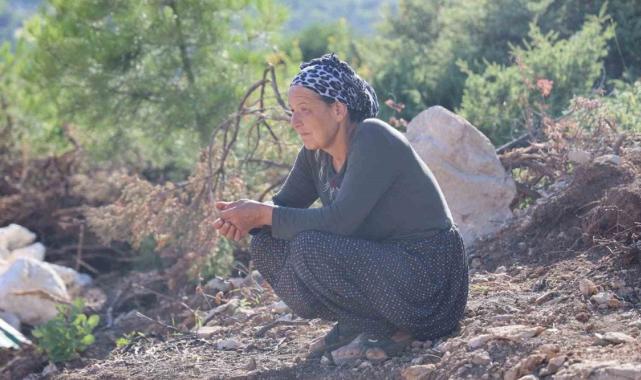 Hatay'da kaybolan Mehmet Döner’i arama çalışmaları 3 gündür sürüyor