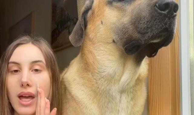 İngiltere'de yaşayan genç kız kangal cinsi köpeğiyle dikkat çekiyor