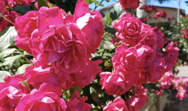 İstanbul'a yakın tatil rotaları