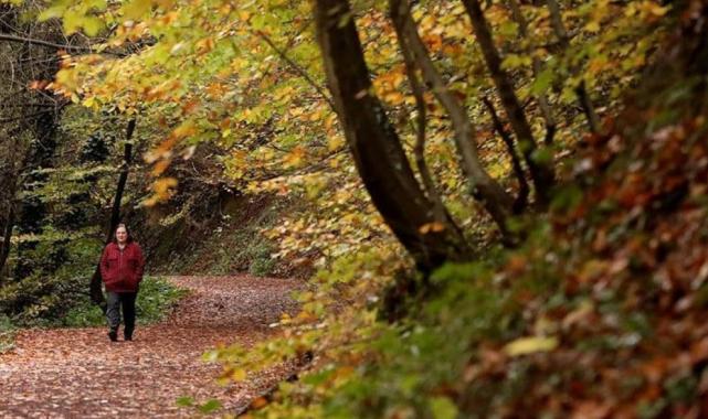 İstanbul'a yakın tatil rotaları
