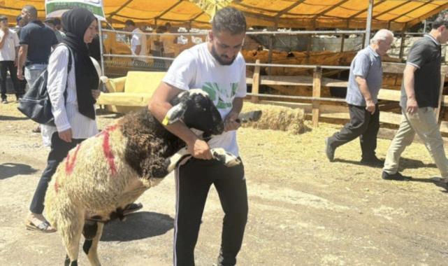 İstanbul'da bayramın 3. gününde kurbanlık alma telaşı sürdü