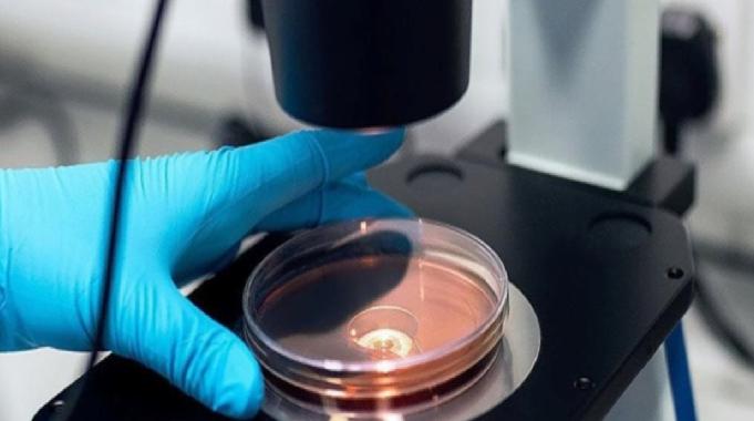 Japonya'da 'et yiyen' STSS bakterisi vaka sayısı yükseldi