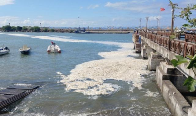 Karadeniz'de müsilaj yayılıyor: Ekipler çalışma başlattı