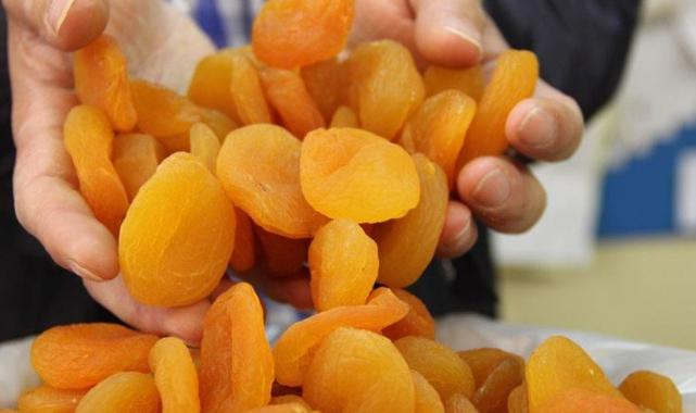 Malatya kayısısında 2024 yılı tahmini rekoltesi: 107 bin 517 ton