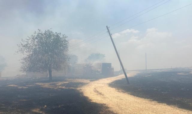 Mardin'de aynı tarlada dördüncü yangın: Bin 500 ton saman küle döndü