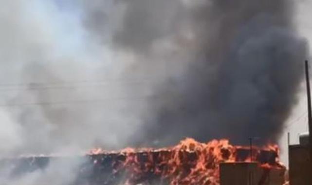 Mardin'de aynı tarlada dördüncü yangın: Bin 500 ton saman küle döndü