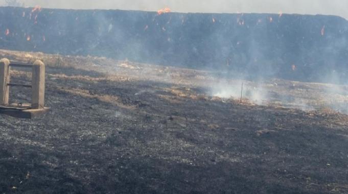 Mardin'de aynı tarlada dördüncü yangın: Bin 500 ton saman küle döndü