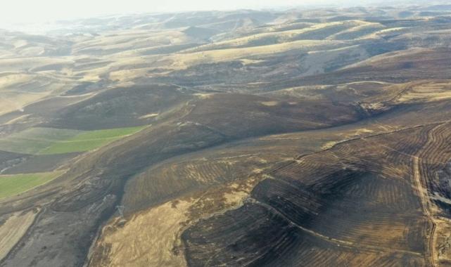 Sezgin Tanrıkulu anız yangınıyla ilgili DEDAŞ'ı işaret etti