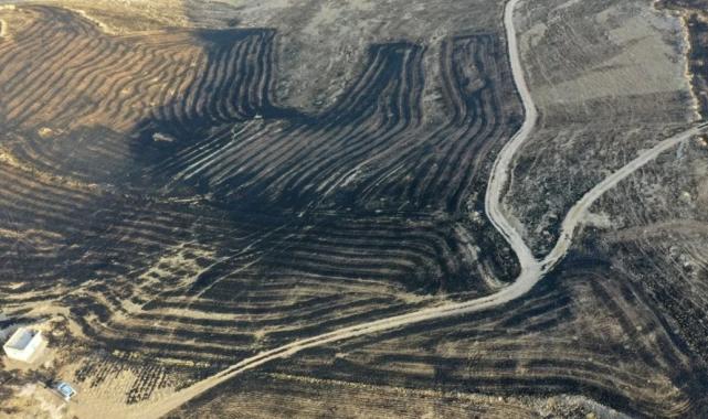 Sezgin Tanrıkulu anız yangınıyla ilgili DEDAŞ'ı işaret etti